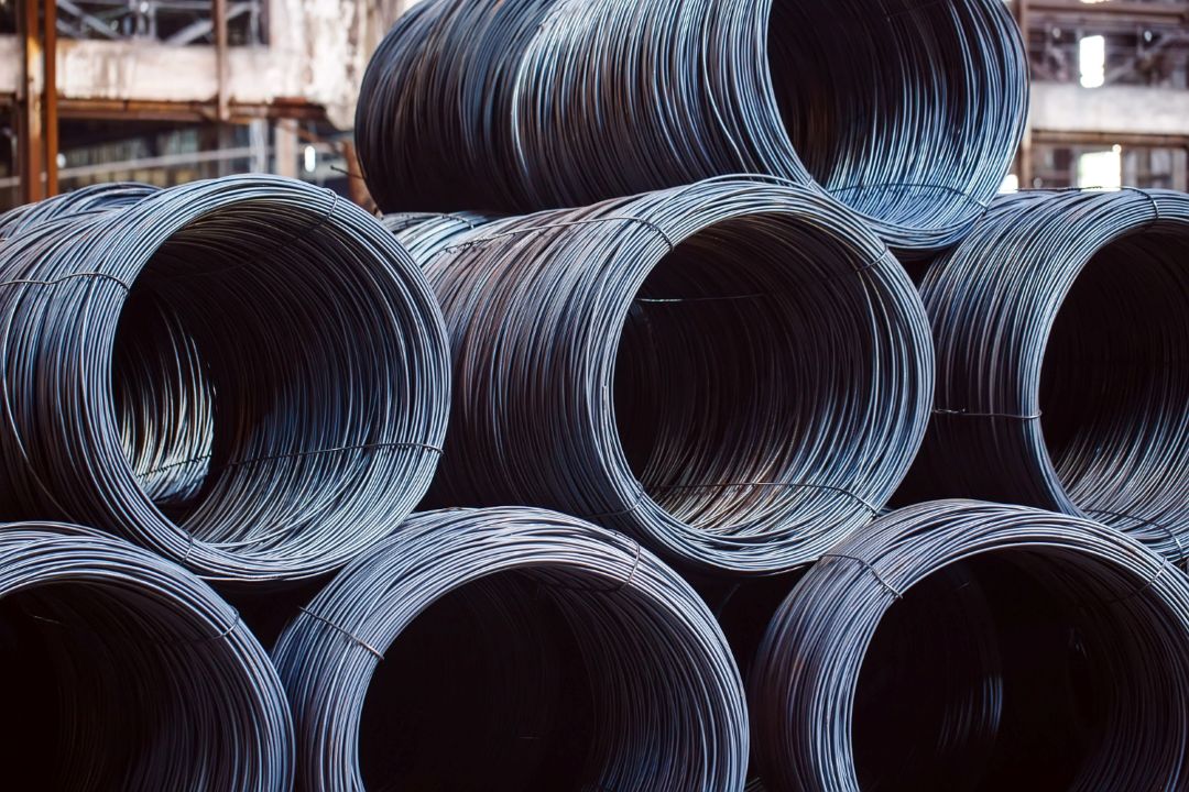 12'lik Kangal Demir Ankara